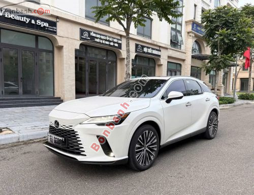 Lexus RX 350h Premium 2025 - ảnh 5