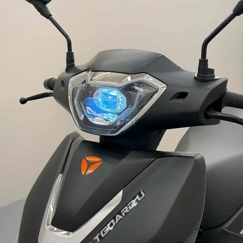 Yadea 2025 - ảnh 2