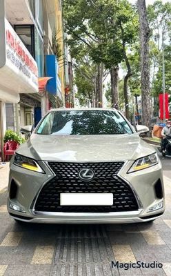Lexus RX 300 2019 - ảnh 1