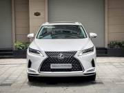 Lexus RX 300 2021 - ảnh 1