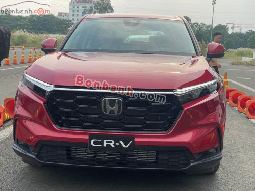 Honda CRV L 2026 - ảnh 2