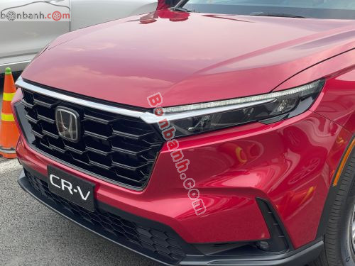 Honda CRV L 2026 - ảnh 3