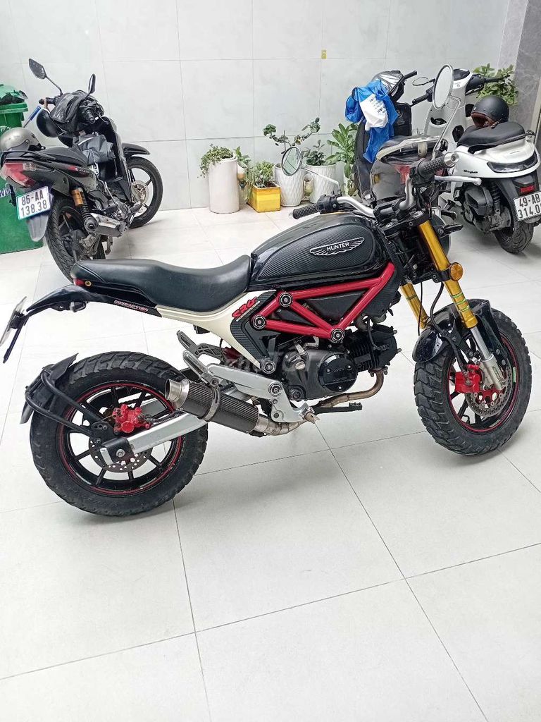 Xe m 2019 - ảnh 1