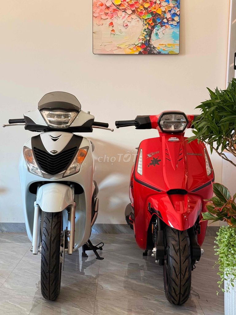 Lambretta 2026 - ảnh 1