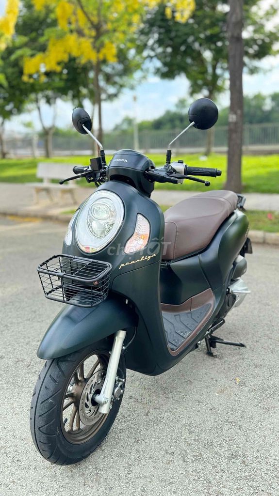 Honda Scoopy 2024 - ảnh 2