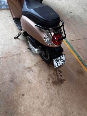 XE 2021 - ảnh 1