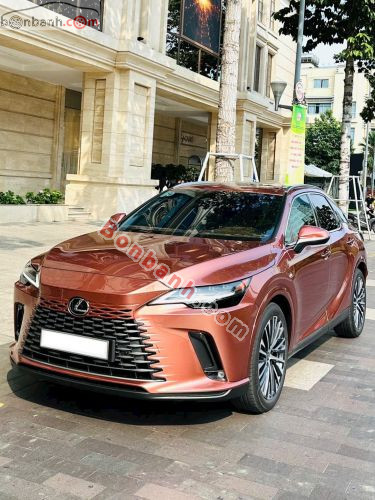 Lexus RX 350 Premium 2023 - ảnh 3