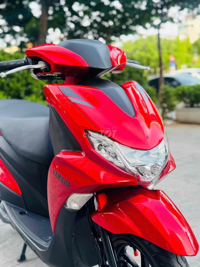 Freego 2022 - ảnh 3