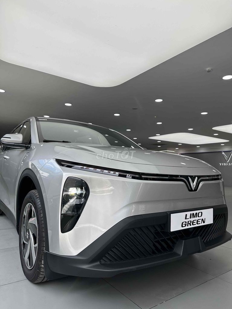 VinFast Limo Green - ảnh 1