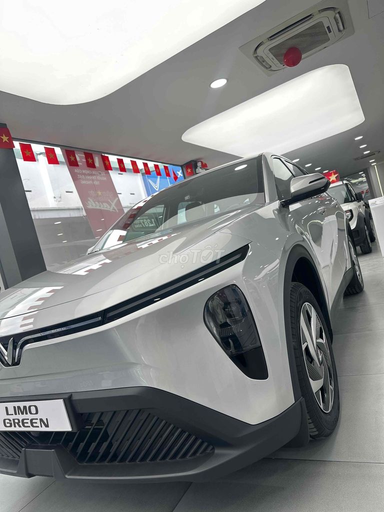 VinFast Limo Green - ảnh 3