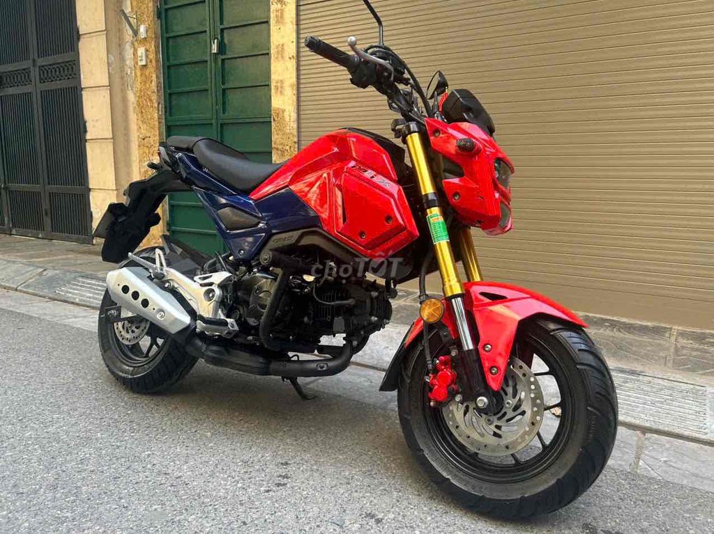 Honda MSX 2022 - ảnh 1