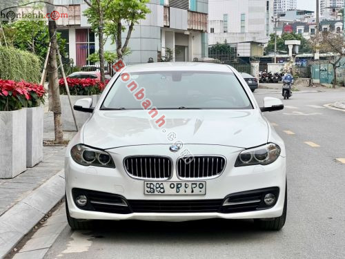 BMW 5 Series 520i 2015 - ảnh 1