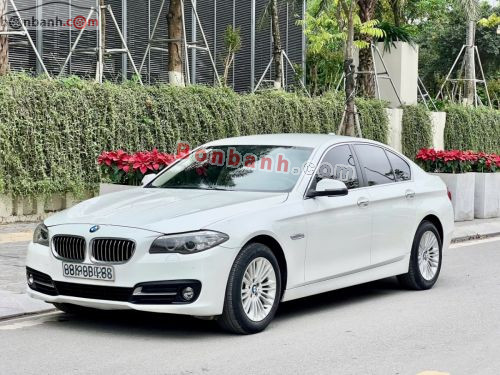 BMW 5 Series 520i 2015 - ảnh 2