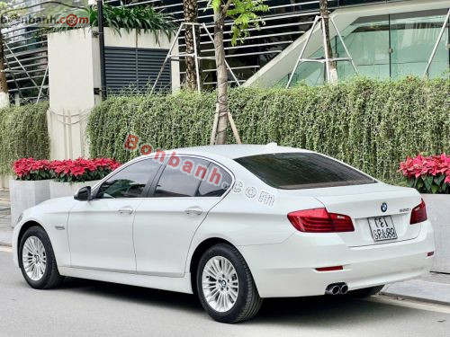 BMW 5 Series 520i 2015 - ảnh 4