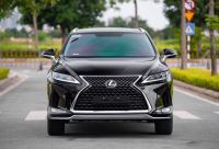 Lexus RX 300 2019 - ảnh 1