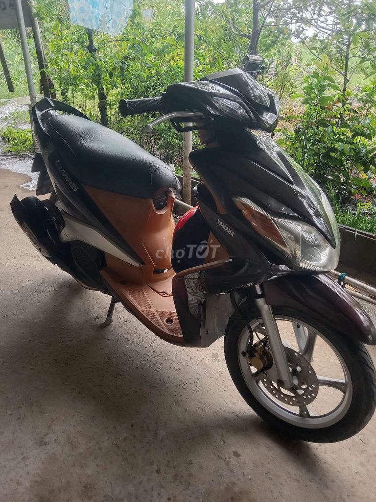 Yamaha Luvias 2010 - ảnh 1