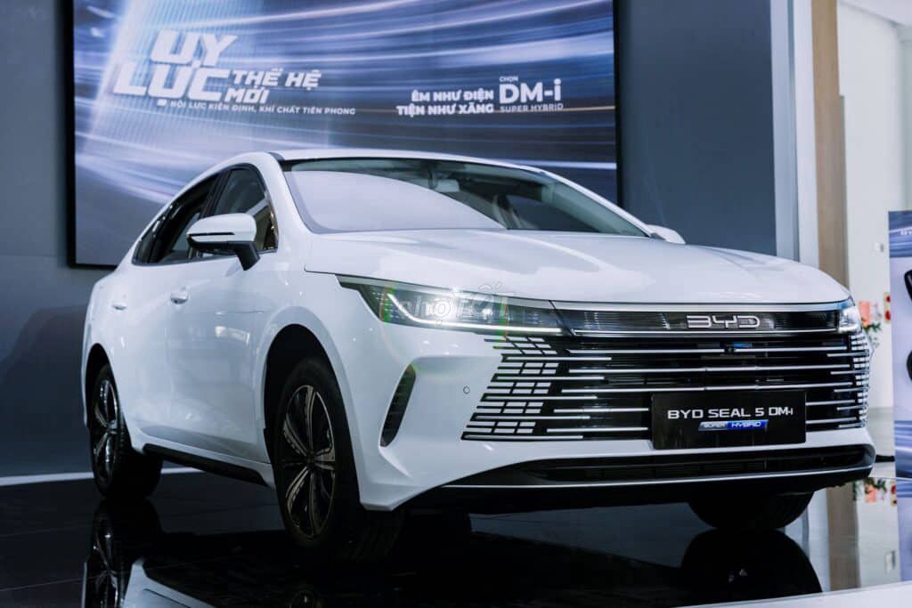 BYD - ảnh 1