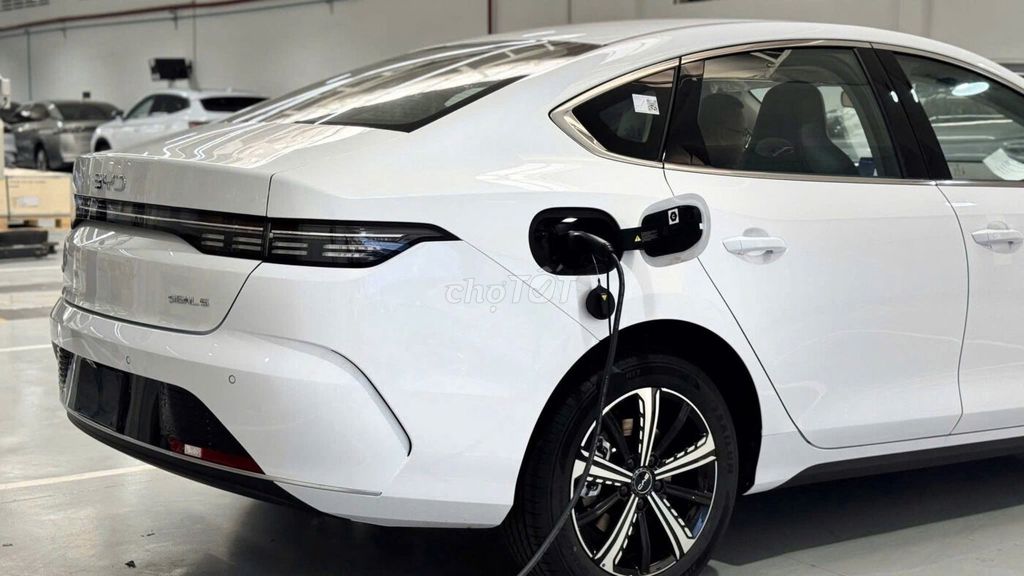 BYD - ảnh 2