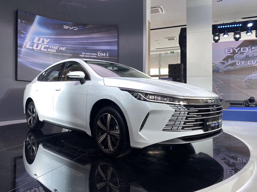 BYD - ảnh 3