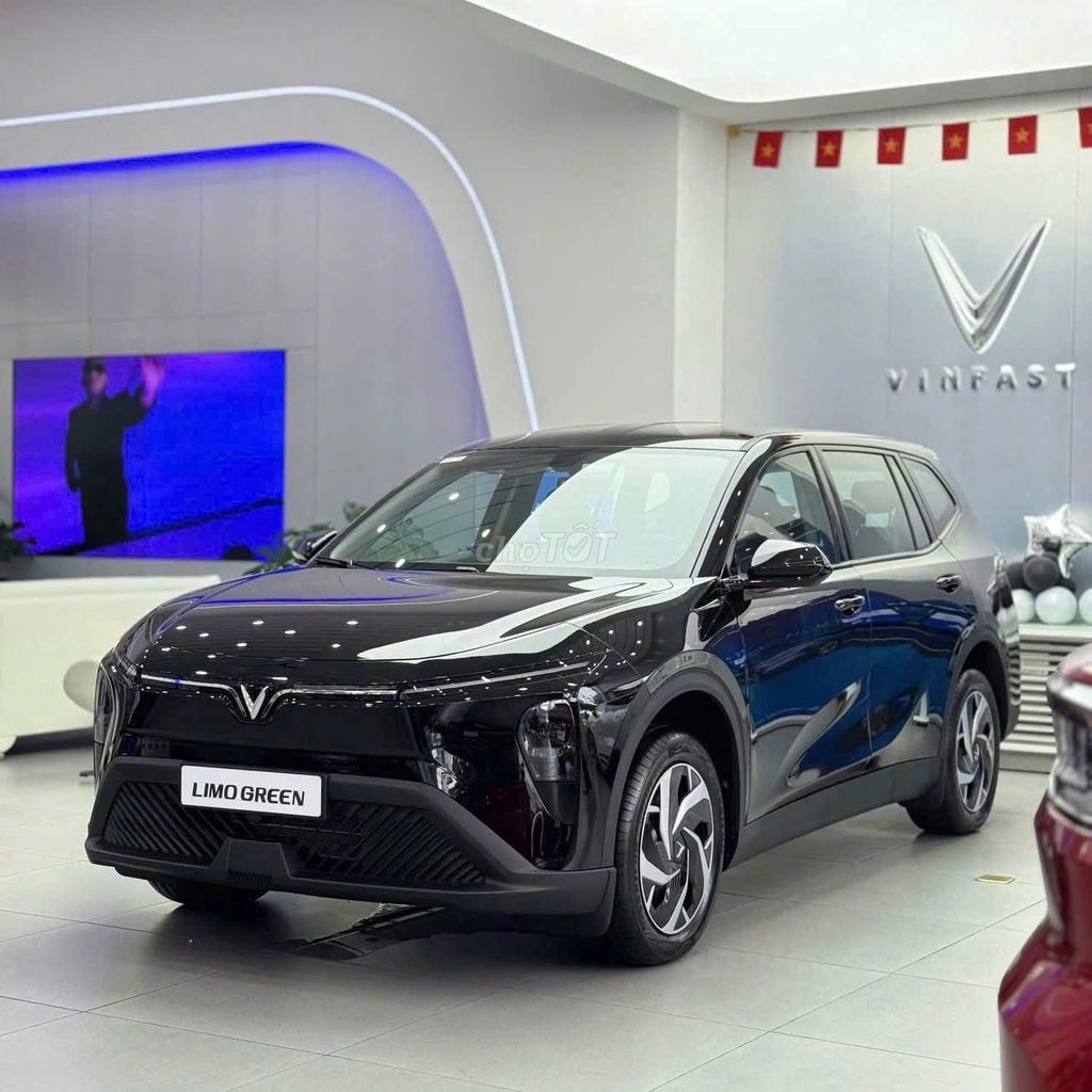 VinFast Limo Green - ảnh 2