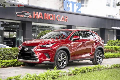 Lexus NX 300 2019 - ảnh 1