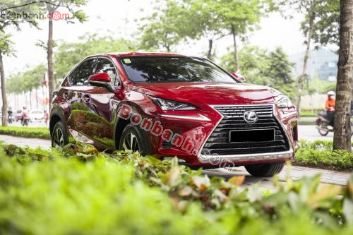 Lexus NX 300 2019 - ảnh 2