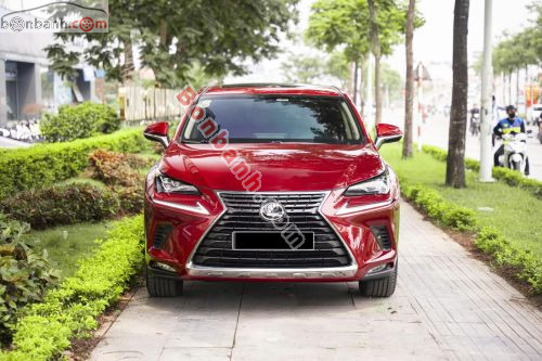 Lexus NX 300 2019 - ảnh 3