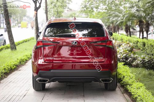 Lexus NX 300 2019 - ảnh 4
