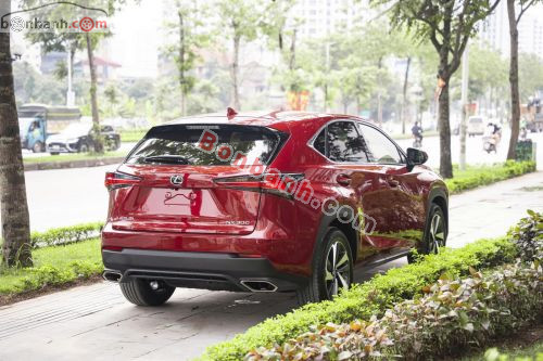 Lexus NX 300 2019 - ảnh 5
