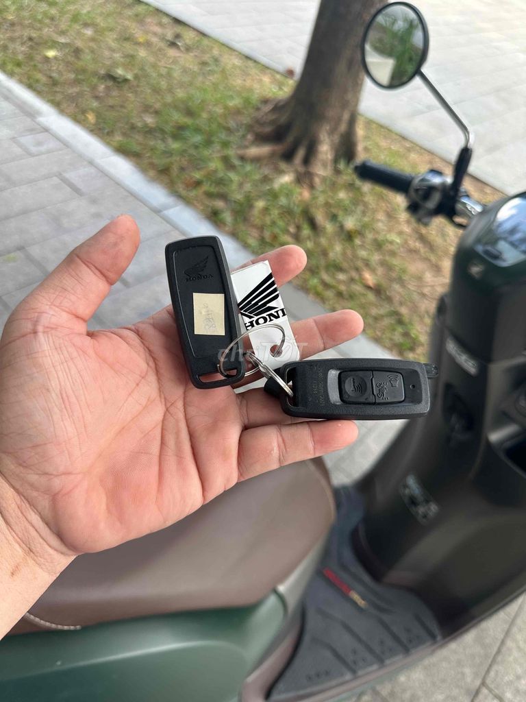 xe scoopy 2023 - ảnh 3