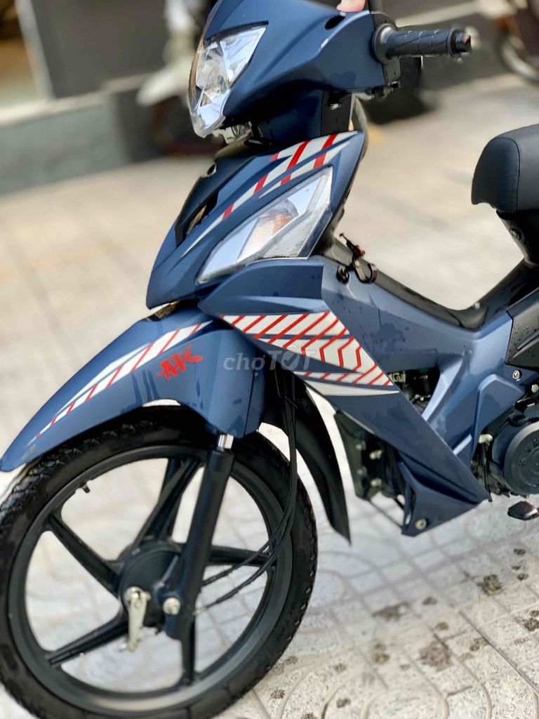 Xe 2024 - ảnh 3