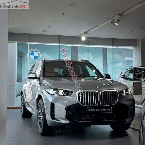 BMW X5 xDrive40i M Sport 2025 - ảnh 1