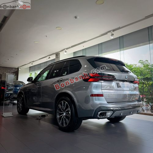 BMW X5 xDrive40i M Sport 2025 - ảnh 3