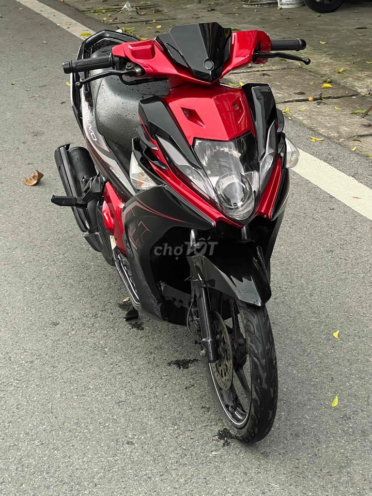 Nouvou 2008 - ảnh 1