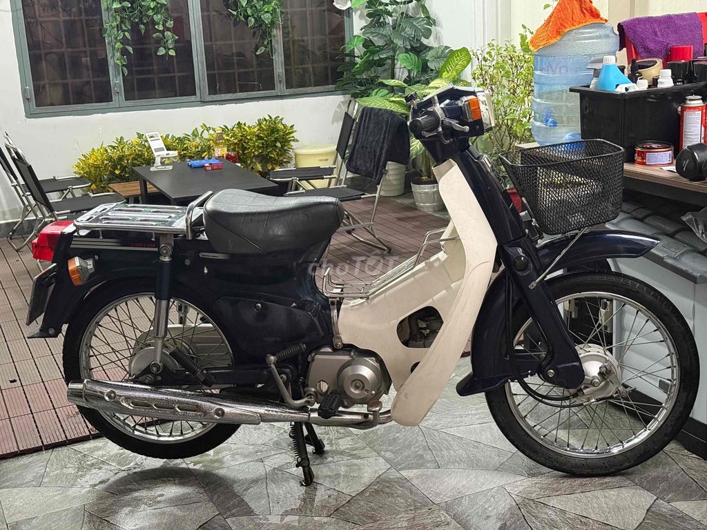 Cub 2017 - ảnh 1