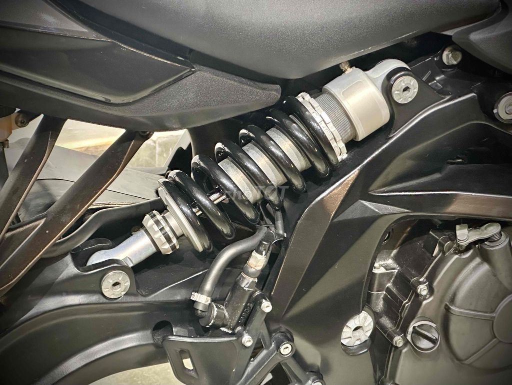 Benelli 2016 - ảnh 5