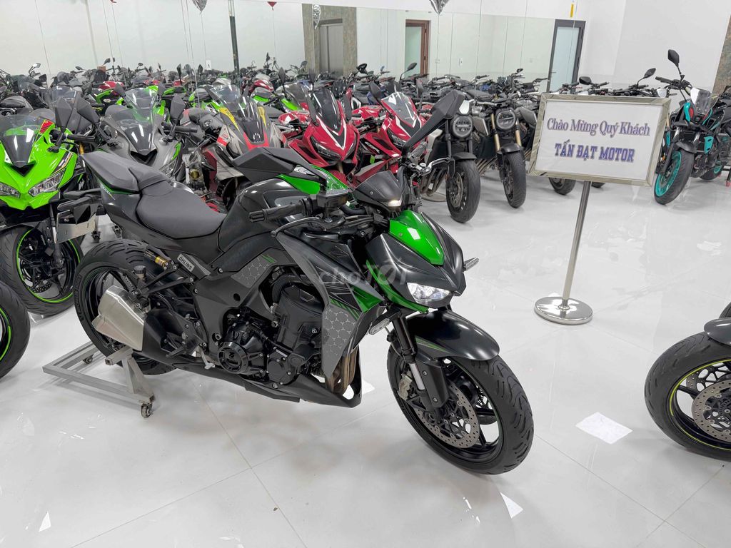 Z 2023 - ảnh 5