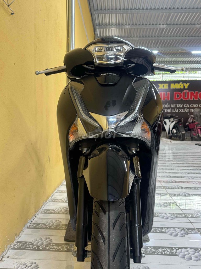 SH 2019 - ảnh 3
