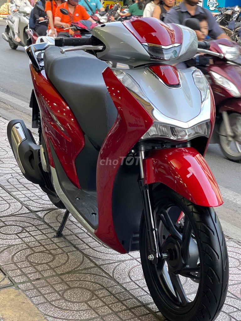 SHVN 2021 - ảnh 3