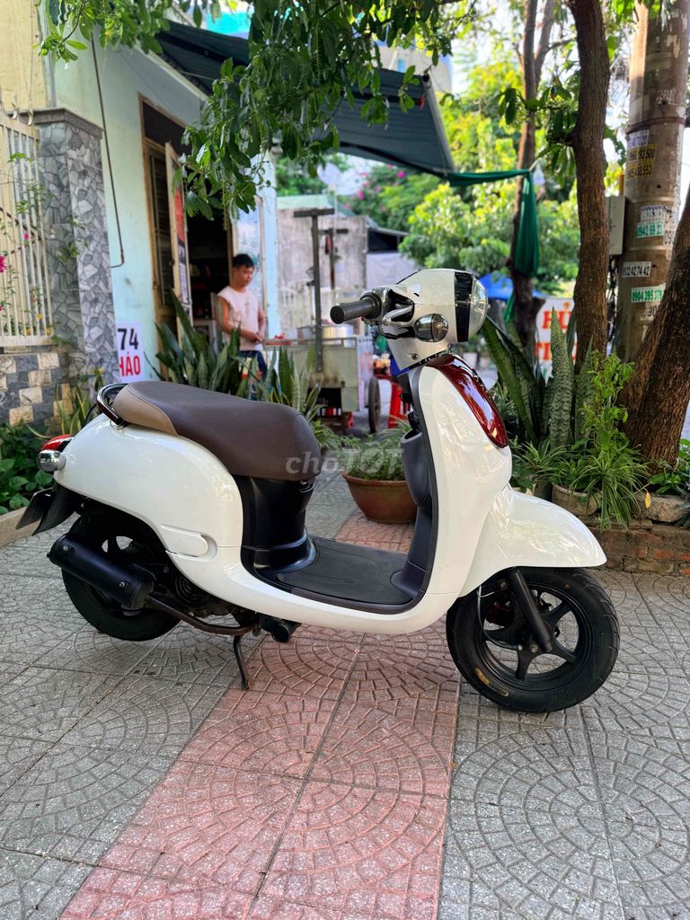 Xe tay 2020 - ảnh 1