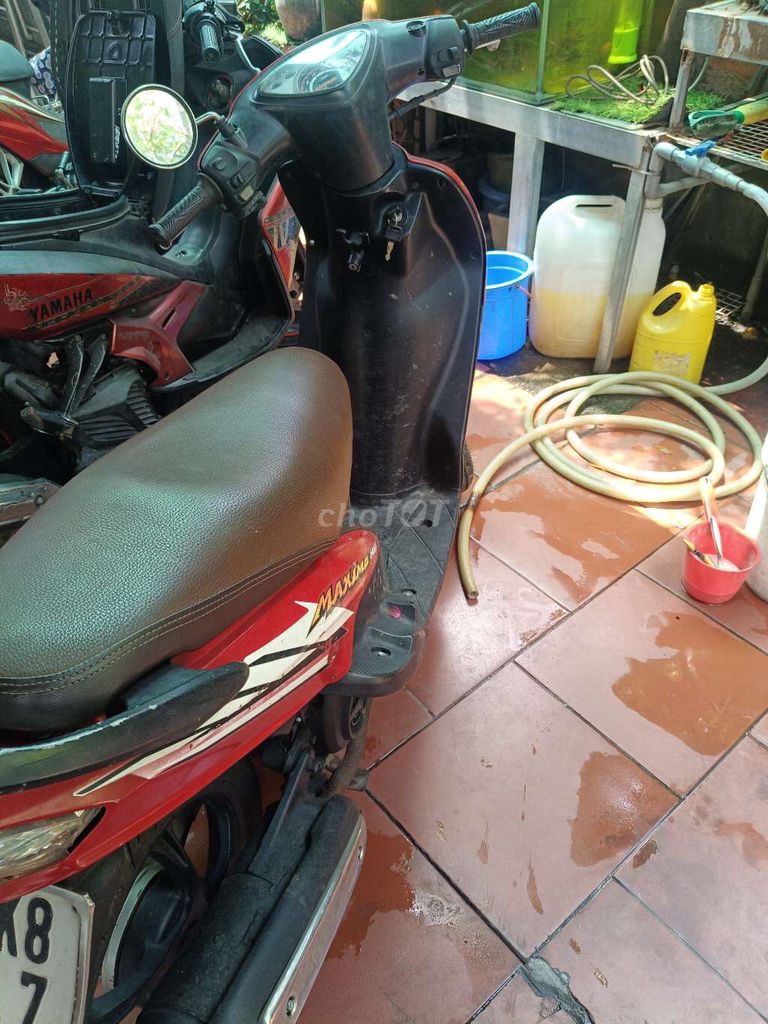 Yamaha Maximo 2005 - ảnh 2