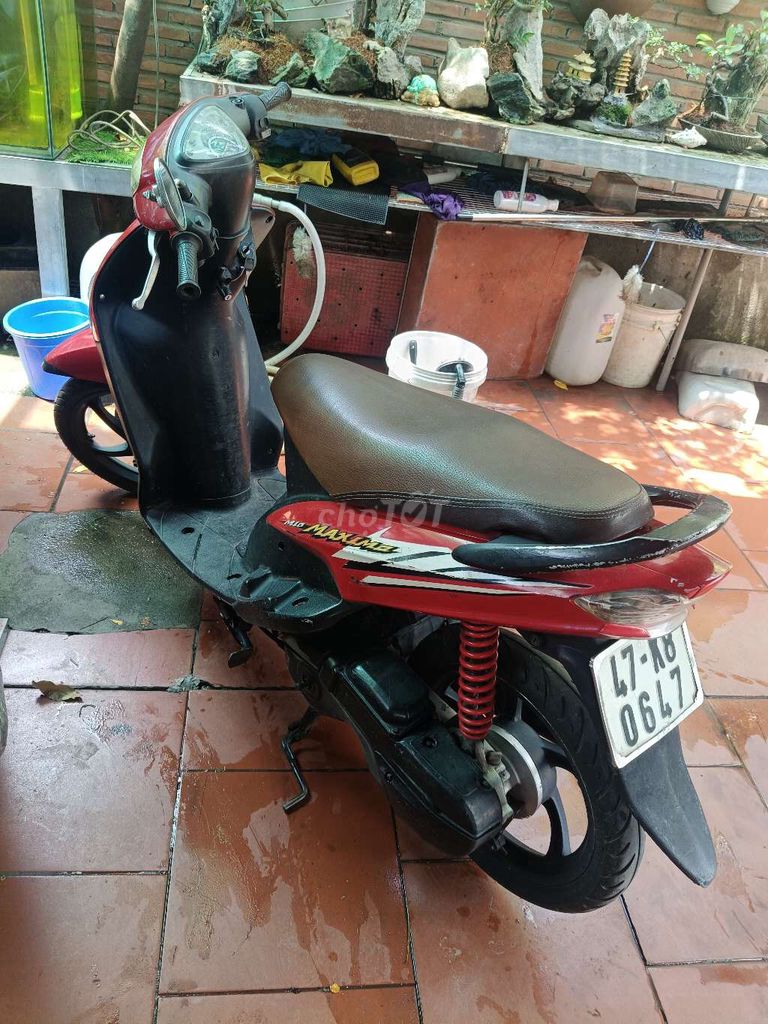 Yamaha Maximo 2005 - ảnh 3