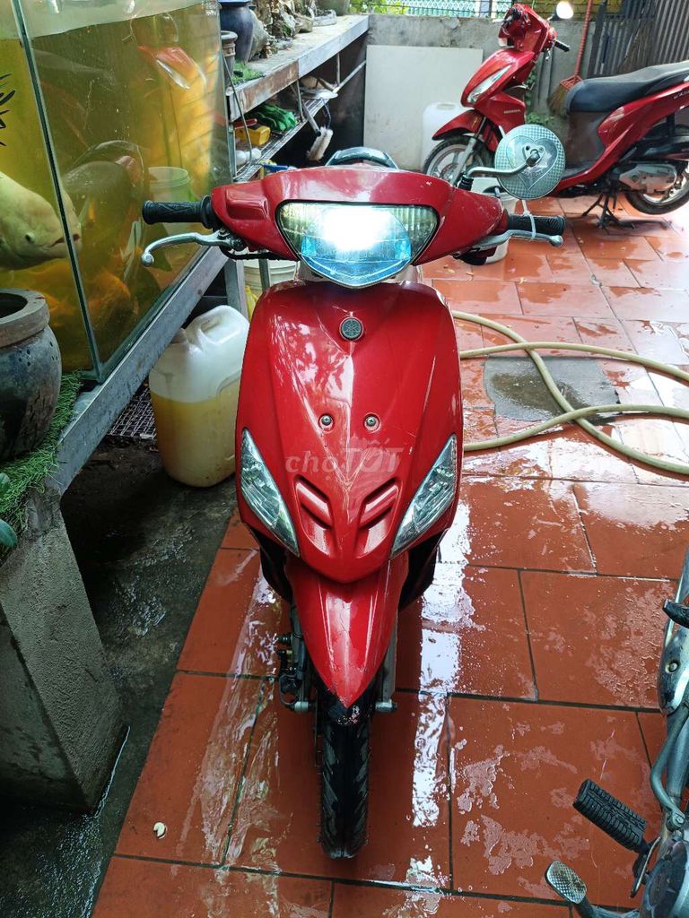 Yamaha Maximo 2005 - ảnh 4