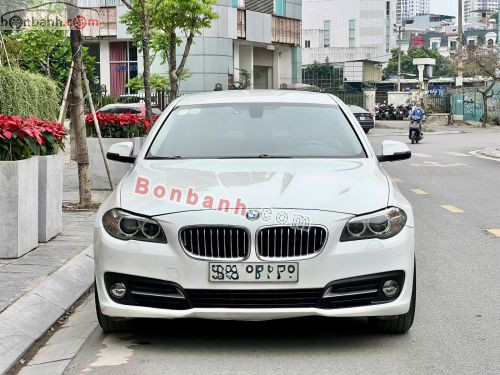 BMW 5 Series 520i 2015 - ảnh 1