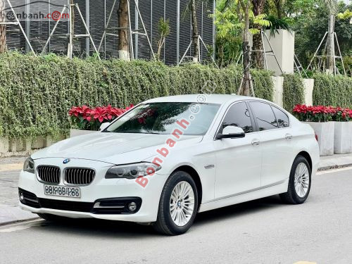 BMW 5 Series 520i 2015 - ảnh 2