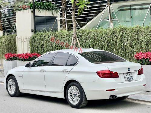BMW 5 Series 520i 2015 - ảnh 4