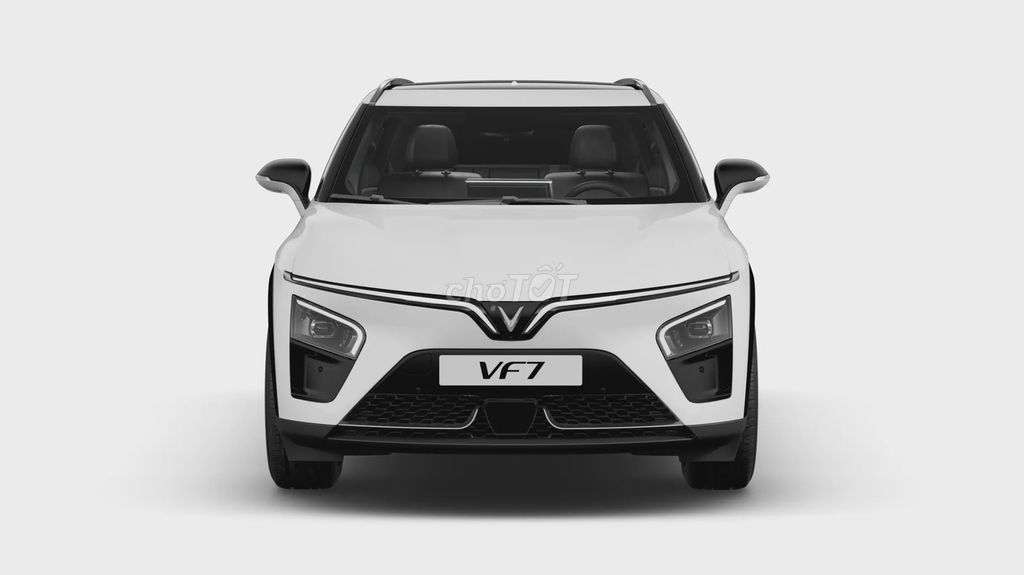 VinFast - ảnh 5