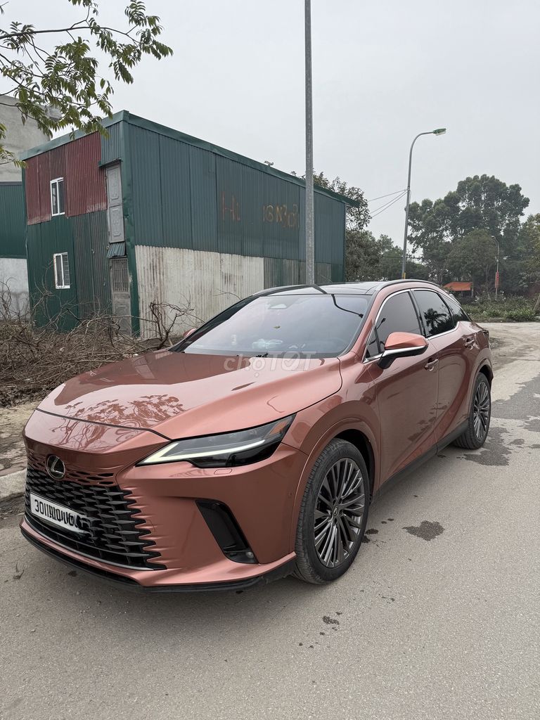 Lexus RX 2023 - ảnh 1