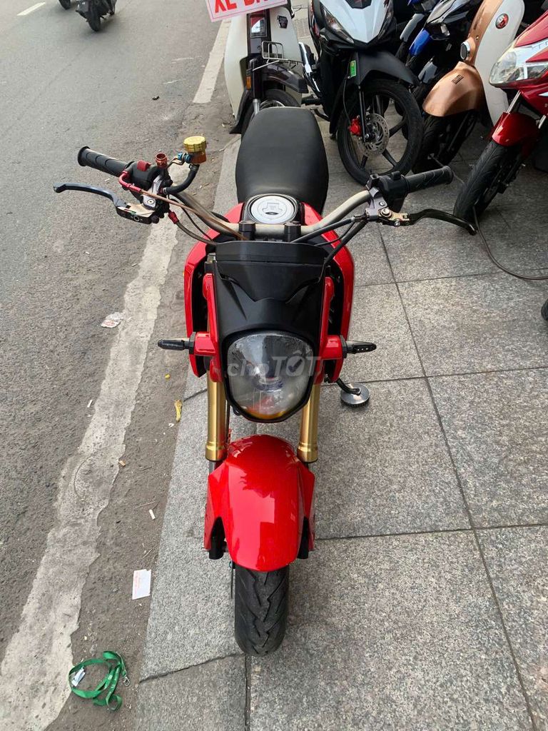 Honda MSX 2016 - ảnh 3