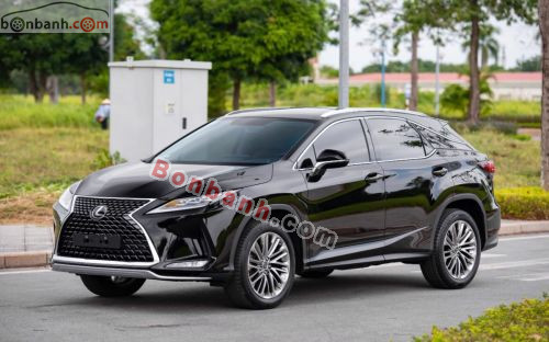 Lexus RX 300 2019 - ảnh 1